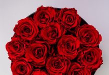 Những loại hoa phù hợp để tặng trong ngày Quốc tế Phụ nữ 8/3